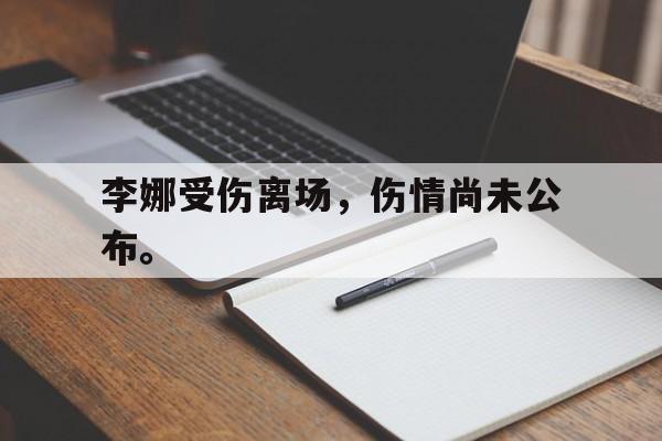 c7官方入口-李娜受伤离场,伤情尚未公布。