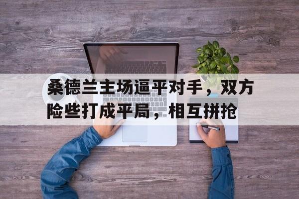 c7官方入口-桑德兰主场逼平对手，双方险些打成平局，相互拼抢